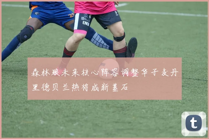 森林狼未来核心阵容调整华子麦丹里德贝兰热将成新基石